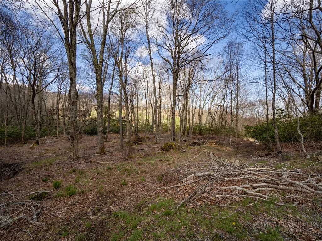 Image number 1 for the current listing