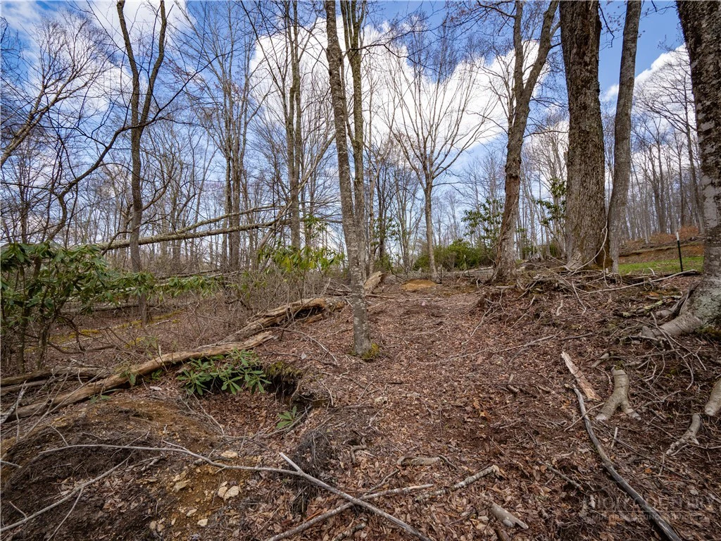 Image number 2 for the current listing
