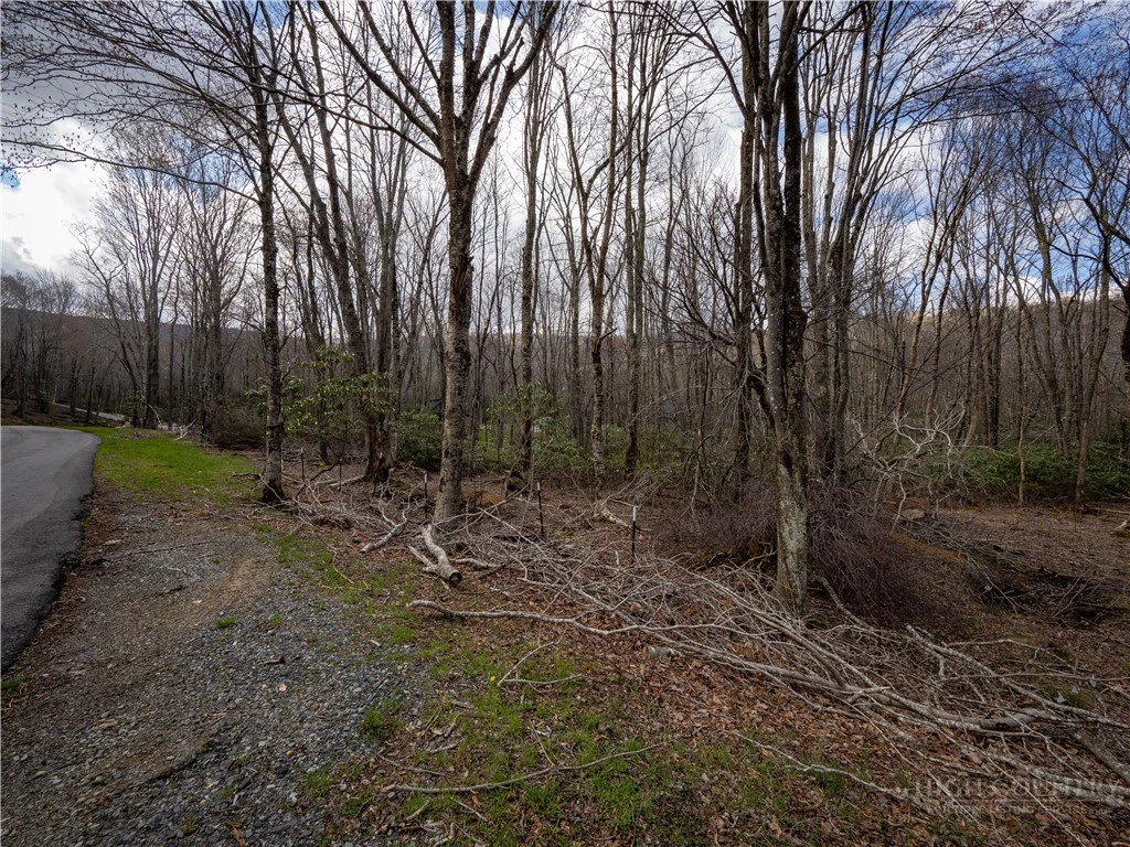 Image number 6 for the current listing