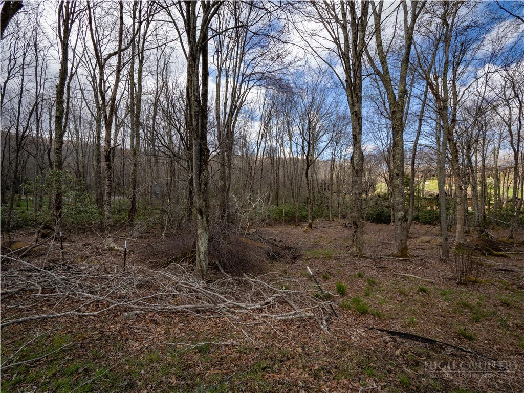 Image number 7 for the current listing