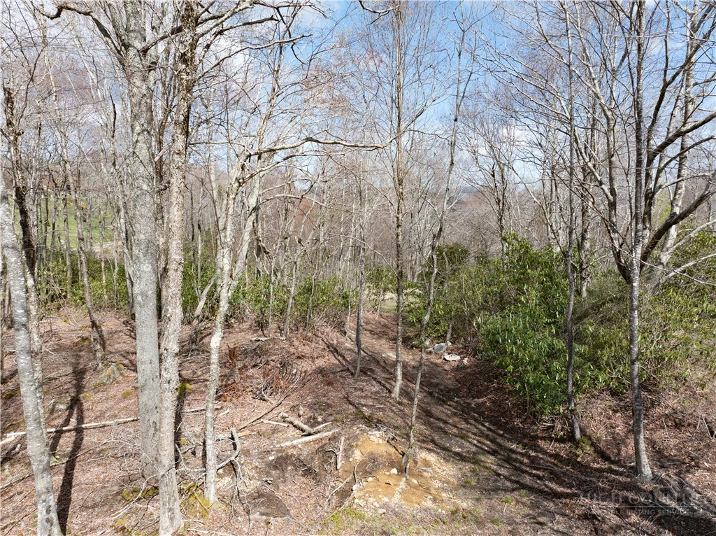 Image number 8 for the current listing