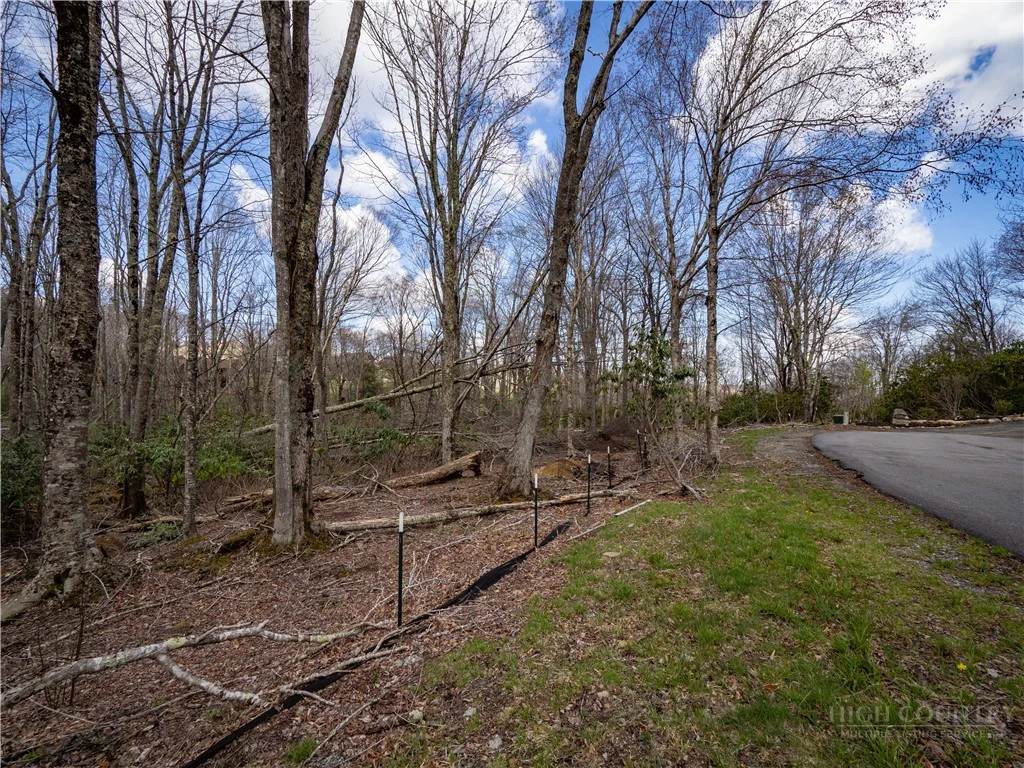 Image number 9 for the current listing