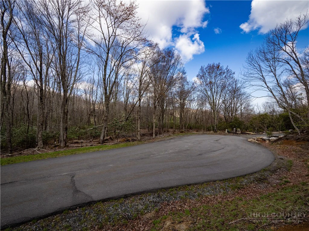 Image number 10 for the current listing