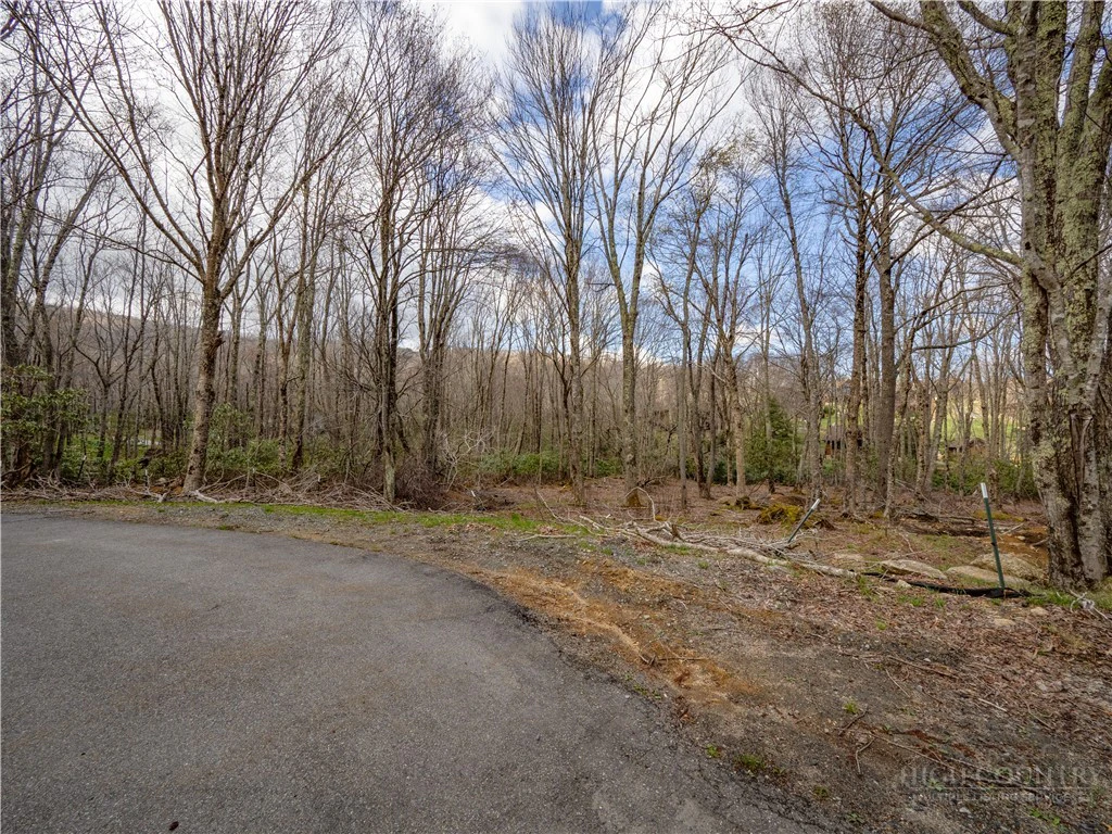 Image number 11 for the current listing