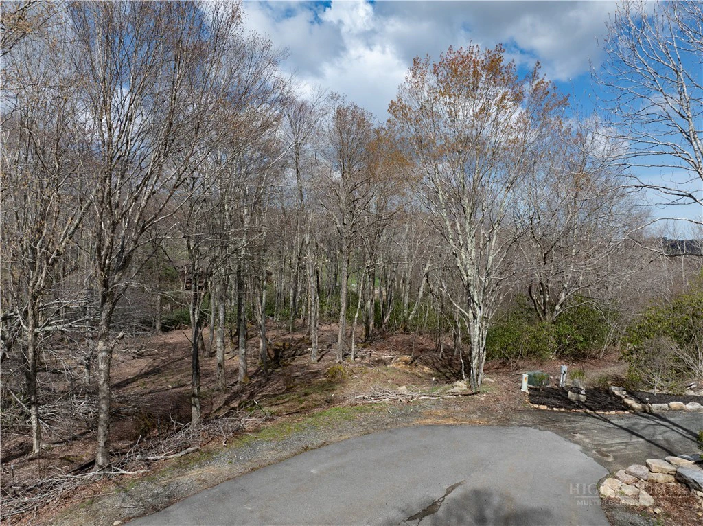 Image number 13 for the current listing