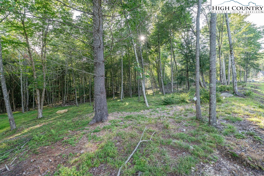 Image number 1 for the current listing