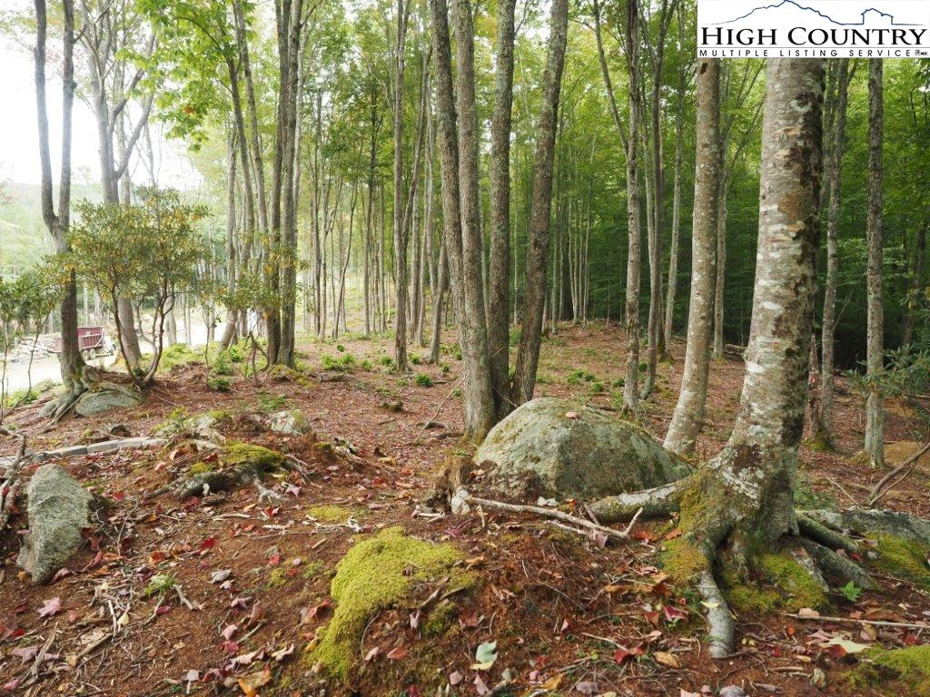 Image number 3 for the current listing