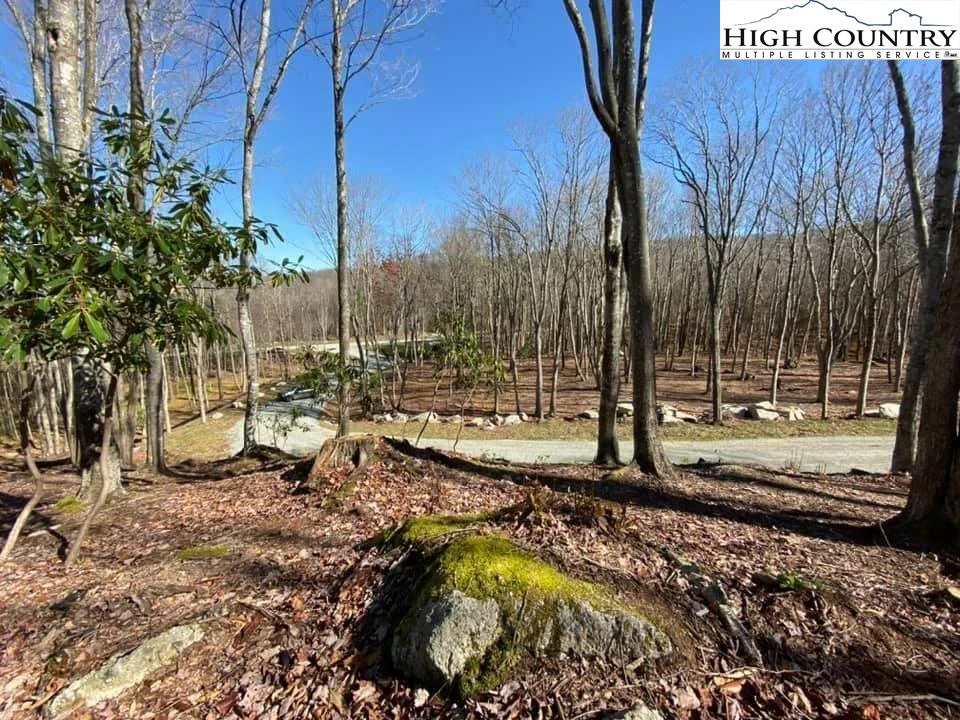 Image number 4 for the current listing