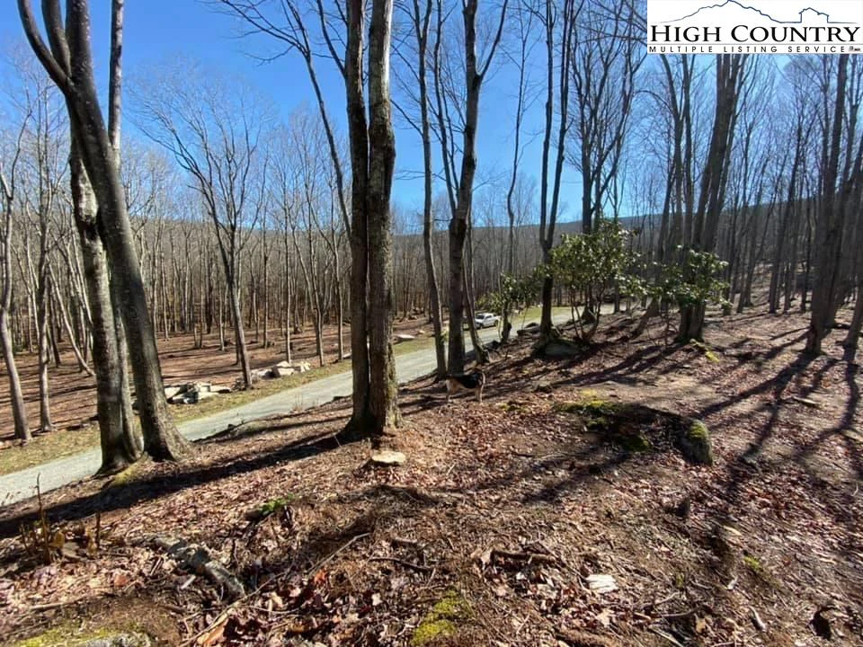 Image number 5 for the current listing