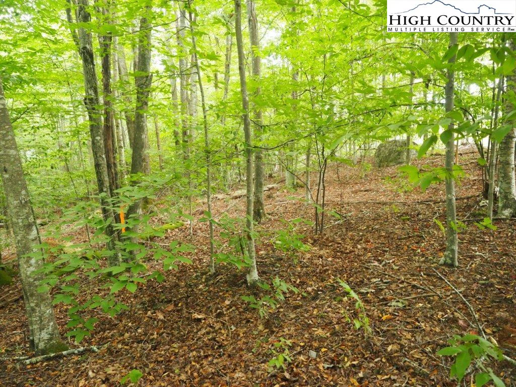 Image number 6 for the current listing