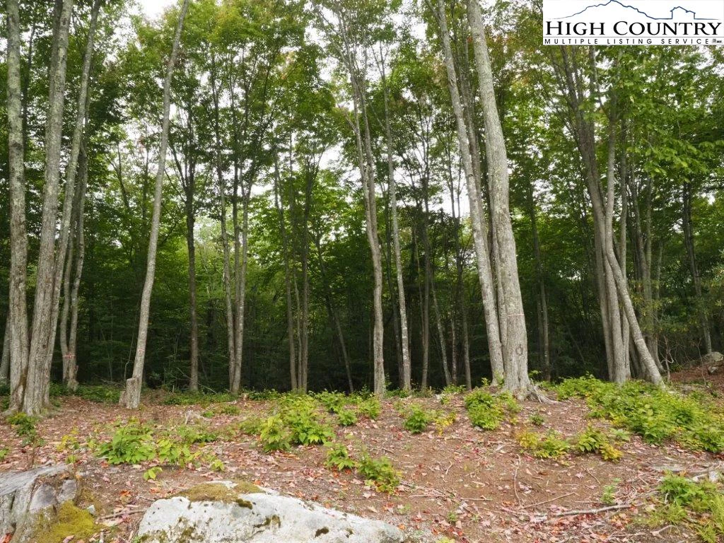 Image number 10 for the current listing