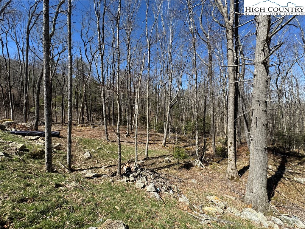 Image number 11 for the current listing