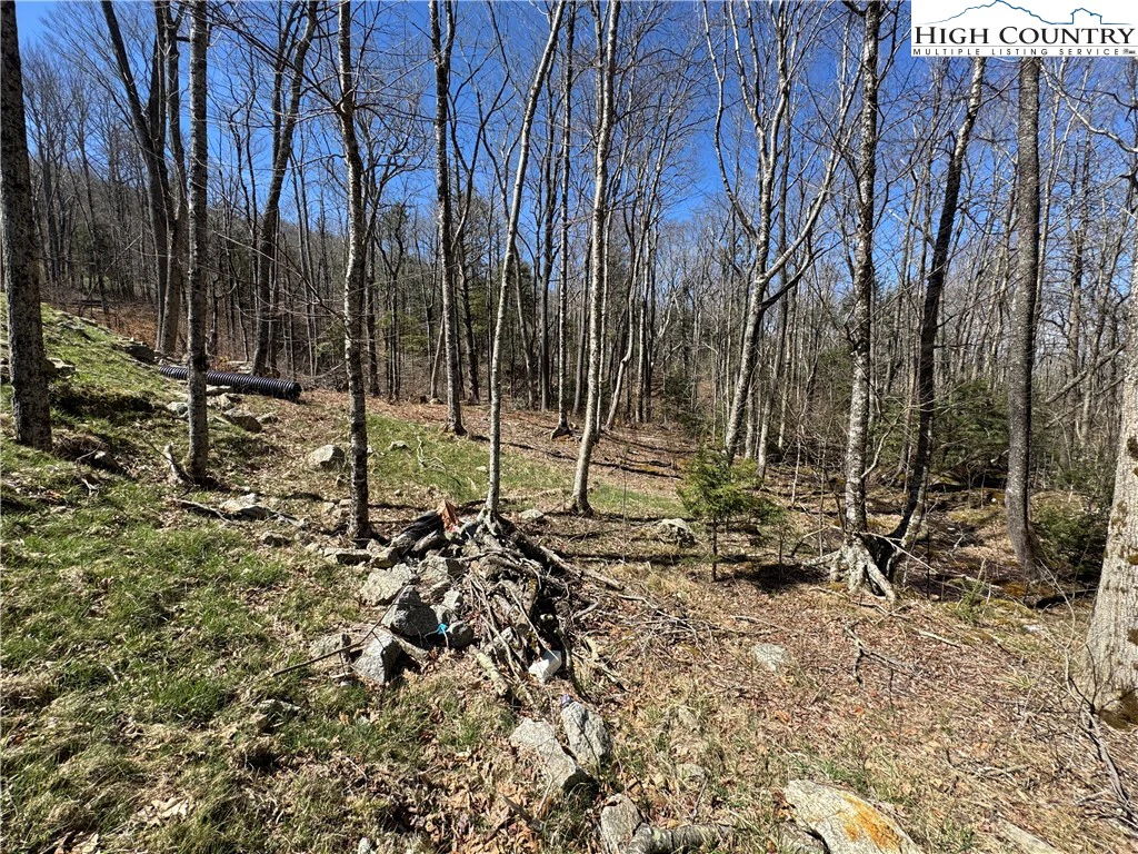 Image number 3 for the current listing