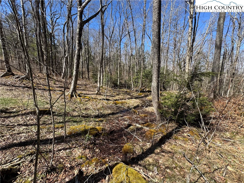 Image number 4 for the current listing
