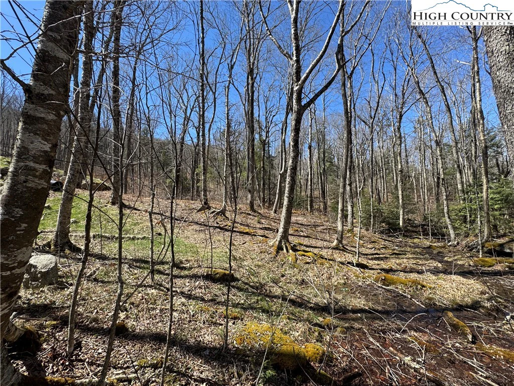 Image number 5 for the current listing