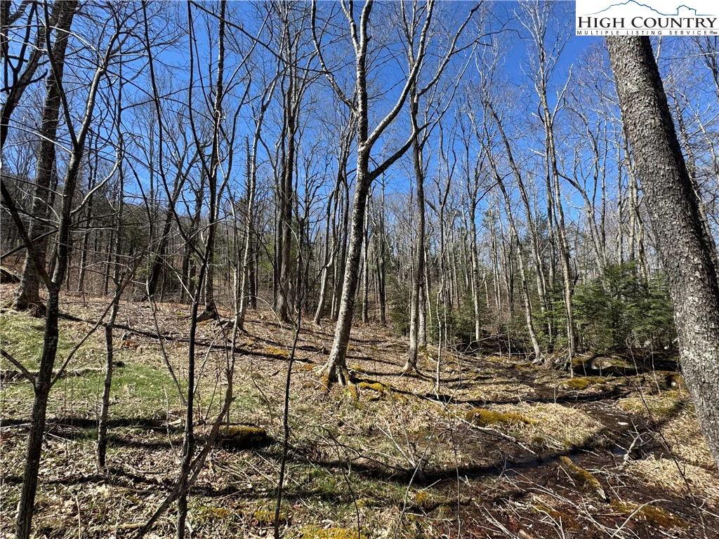 Image number 6 for the current listing