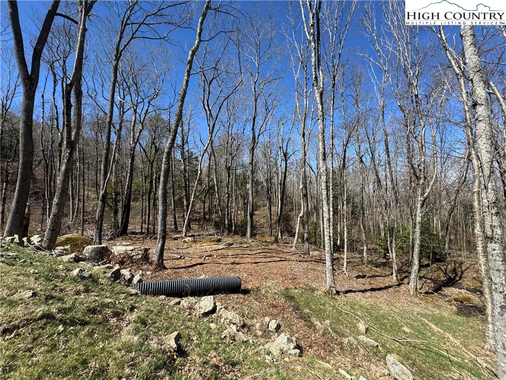 Image number 7 for the current listing