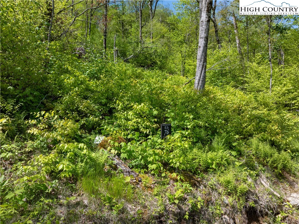 Image number 3 for the current listing