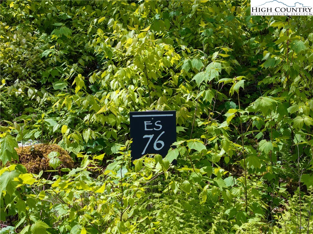 Image number 4 for the current listing