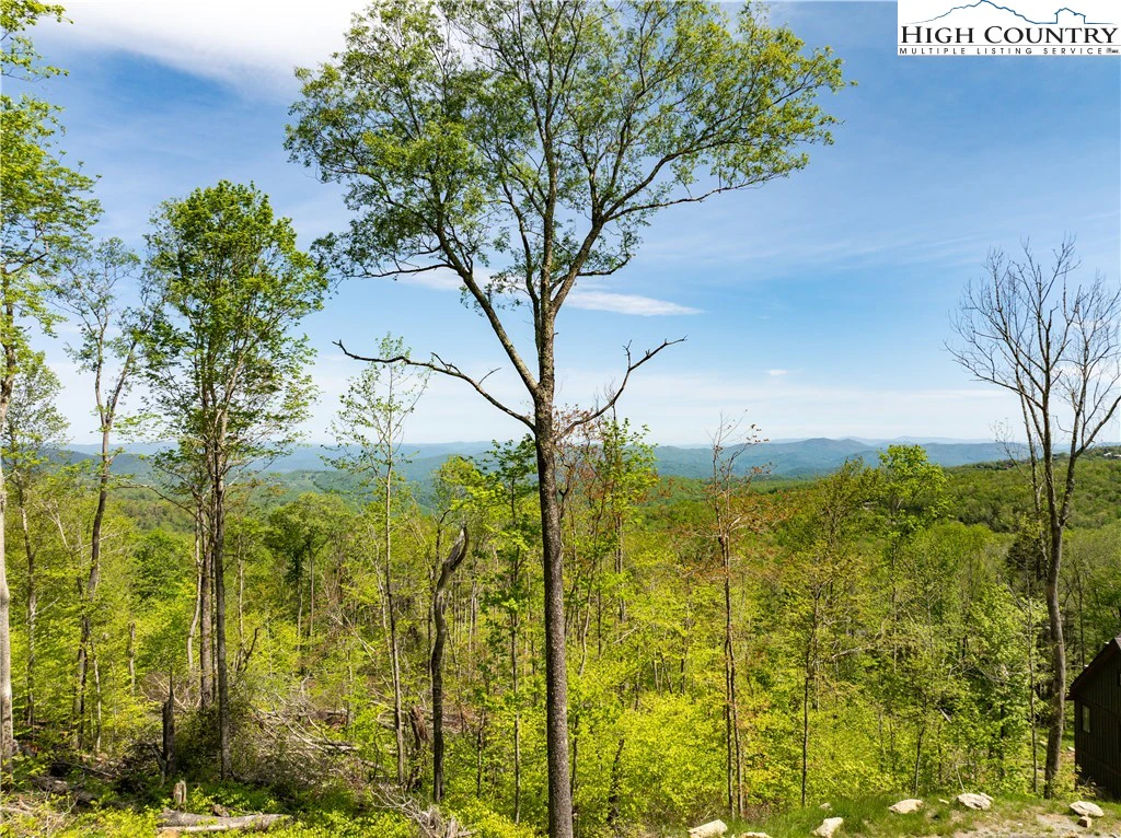 Image number 1 for the current listing