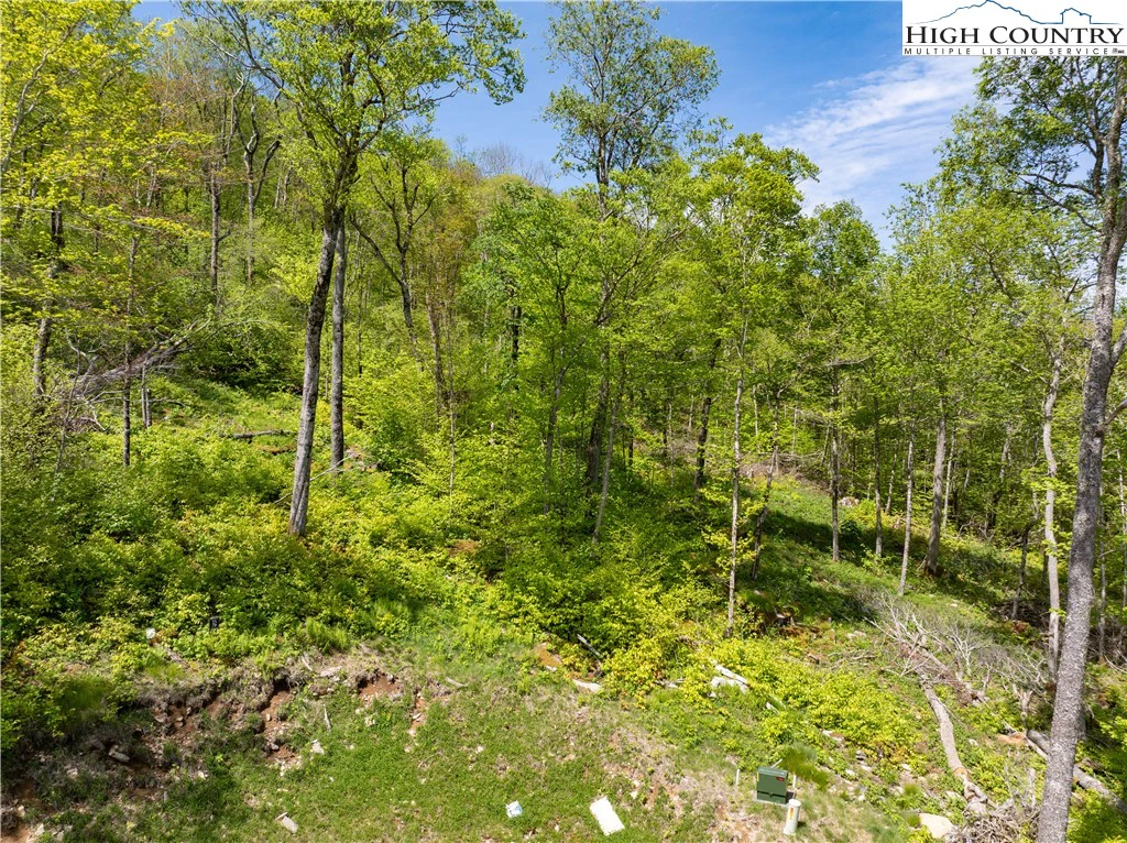 Image number 18 for the current listing