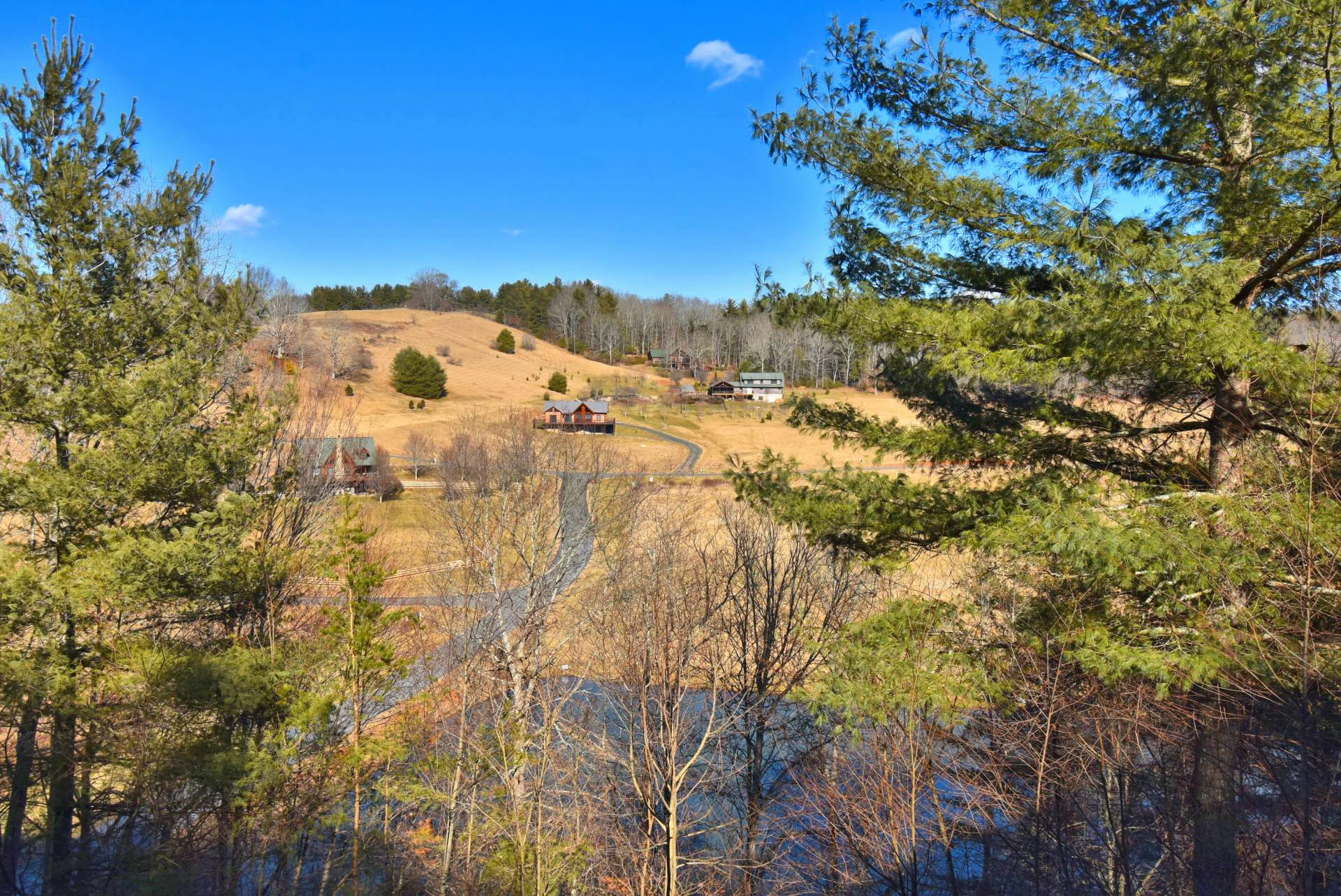 Image number 4 for the current listing