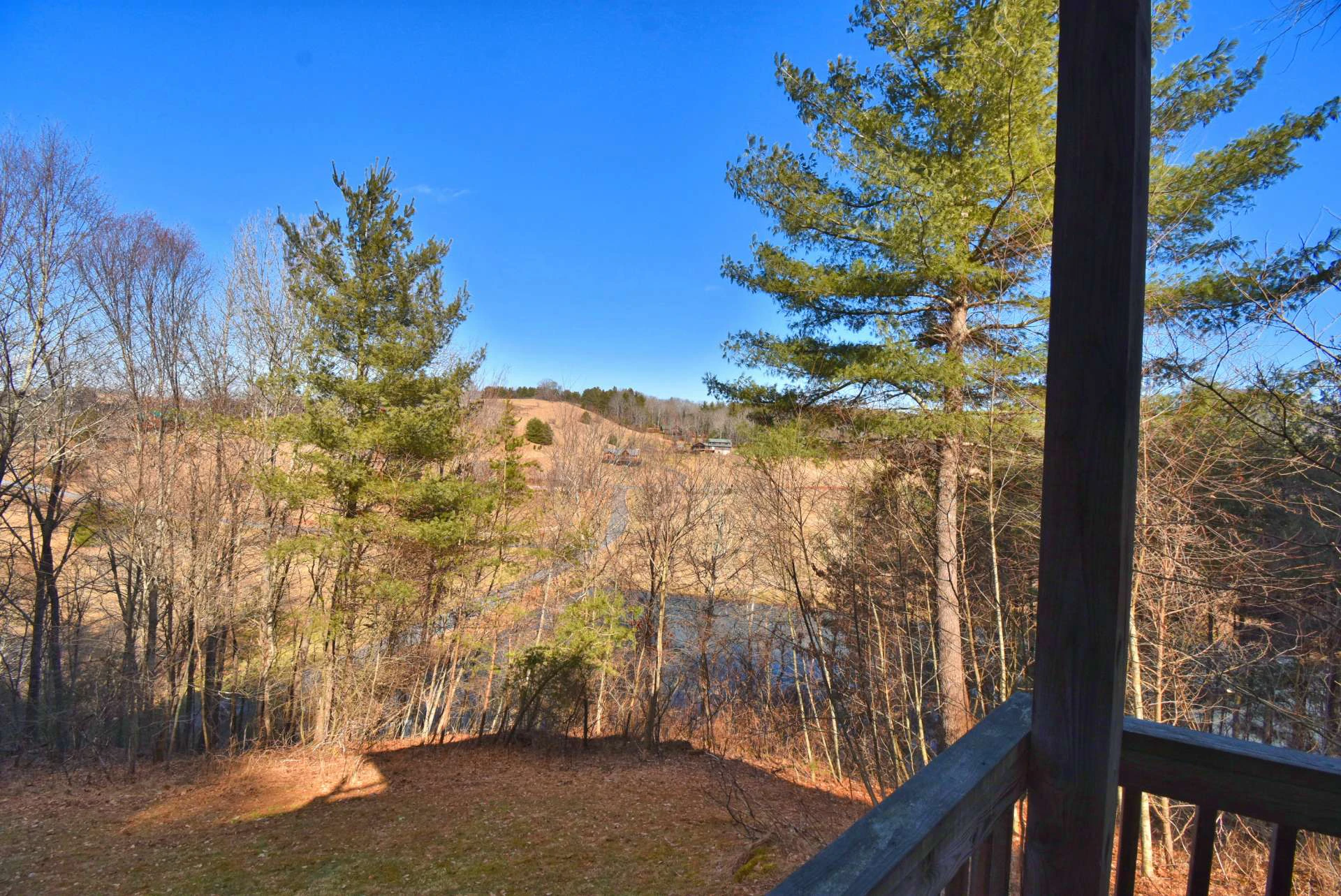 Image number 2 for the current listing
