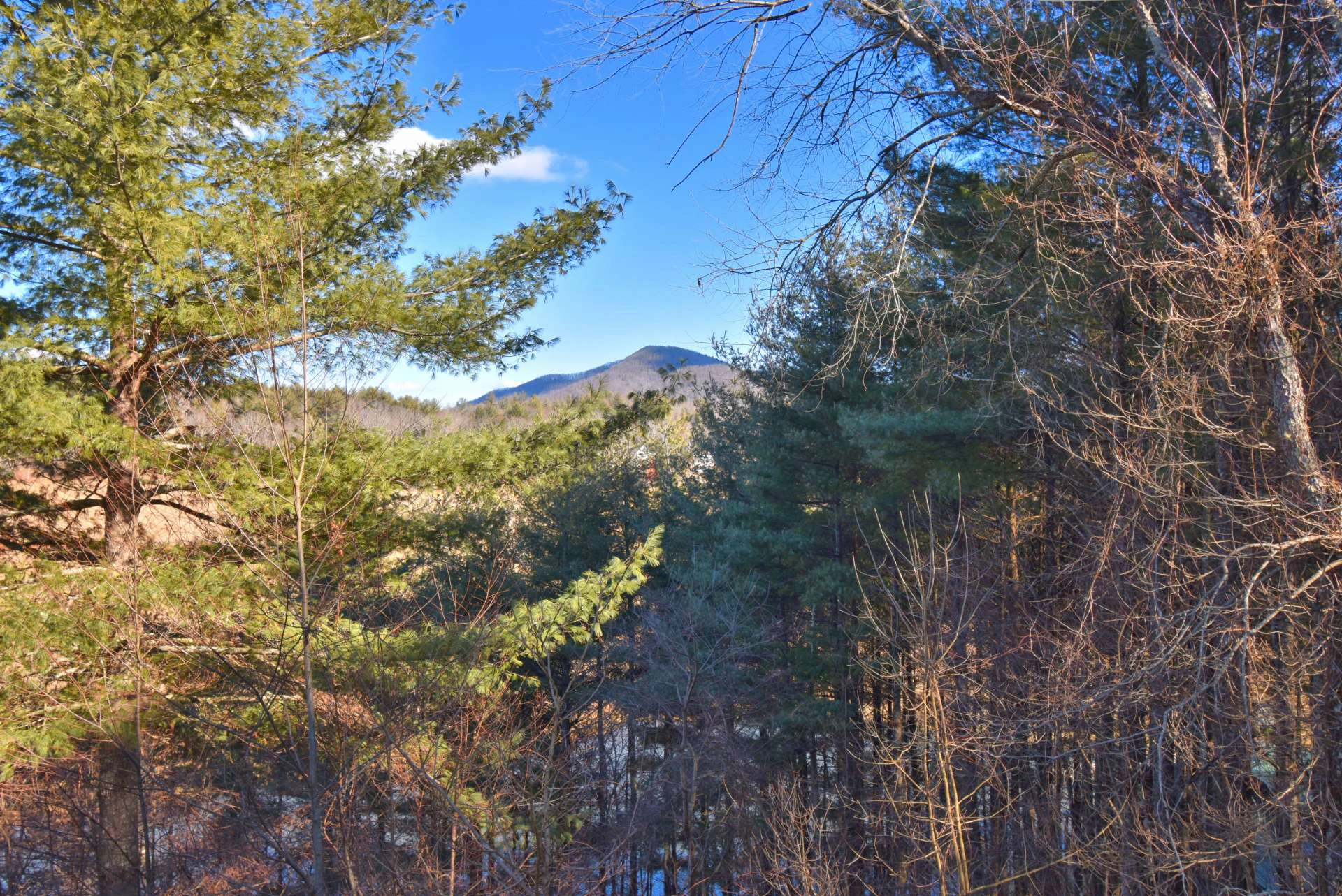 Image number 5 for the current listing
