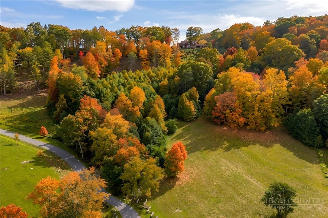 Image number 3 for the current listing