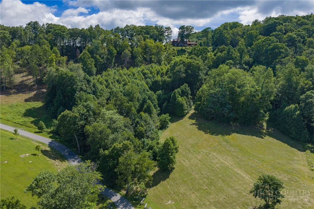 Image number 5 for the current listing