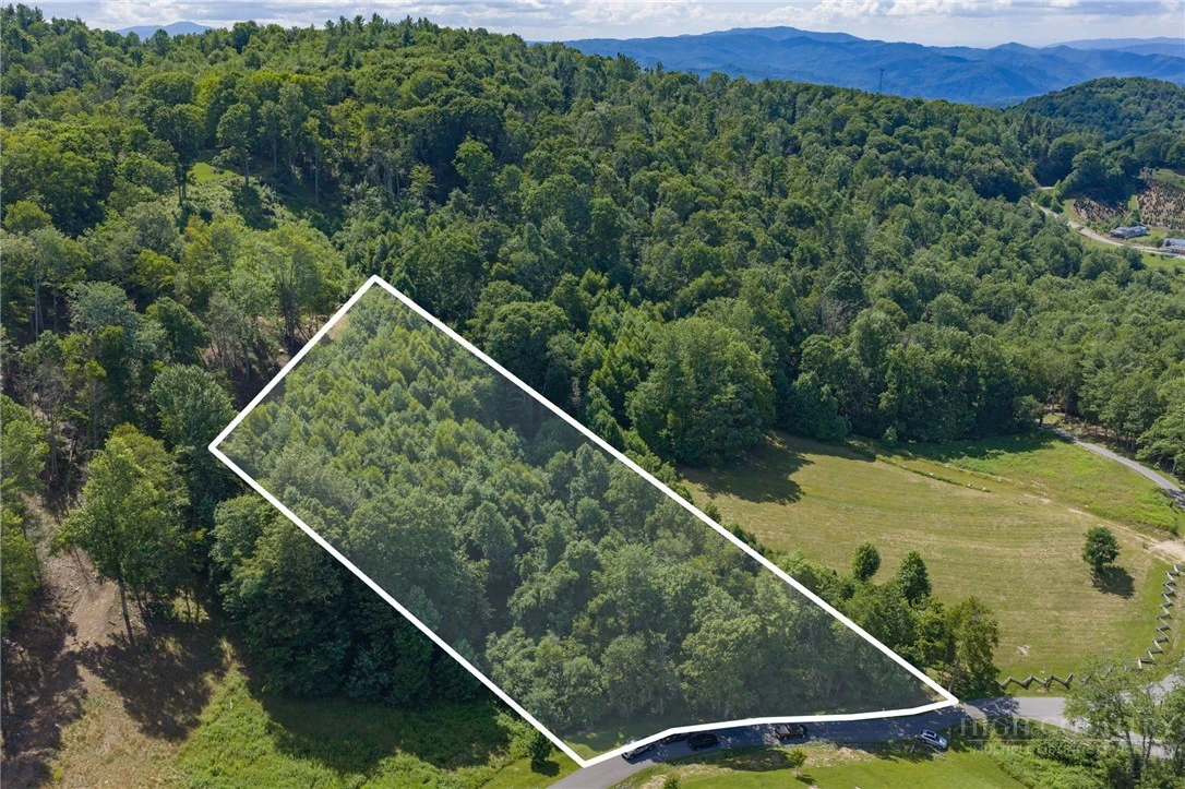 Image number 7 for the current listing