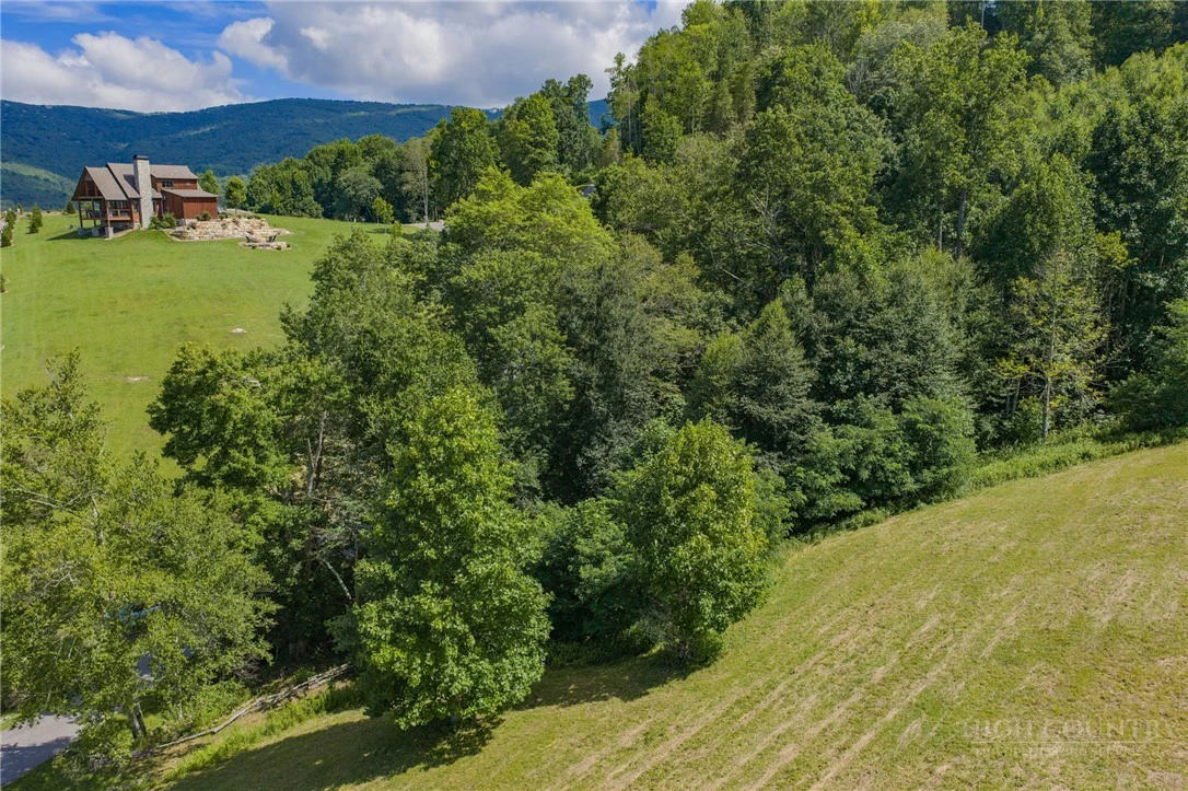Image number 8 for the current listing