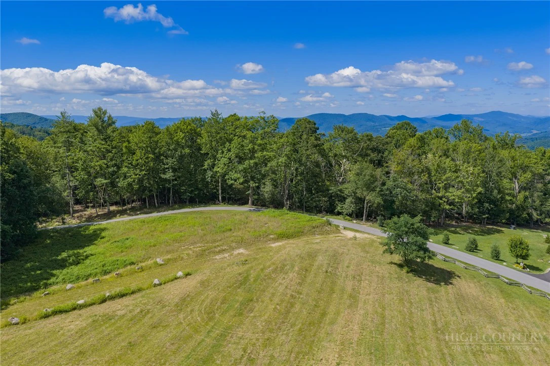 Image number 12 for the current listing
