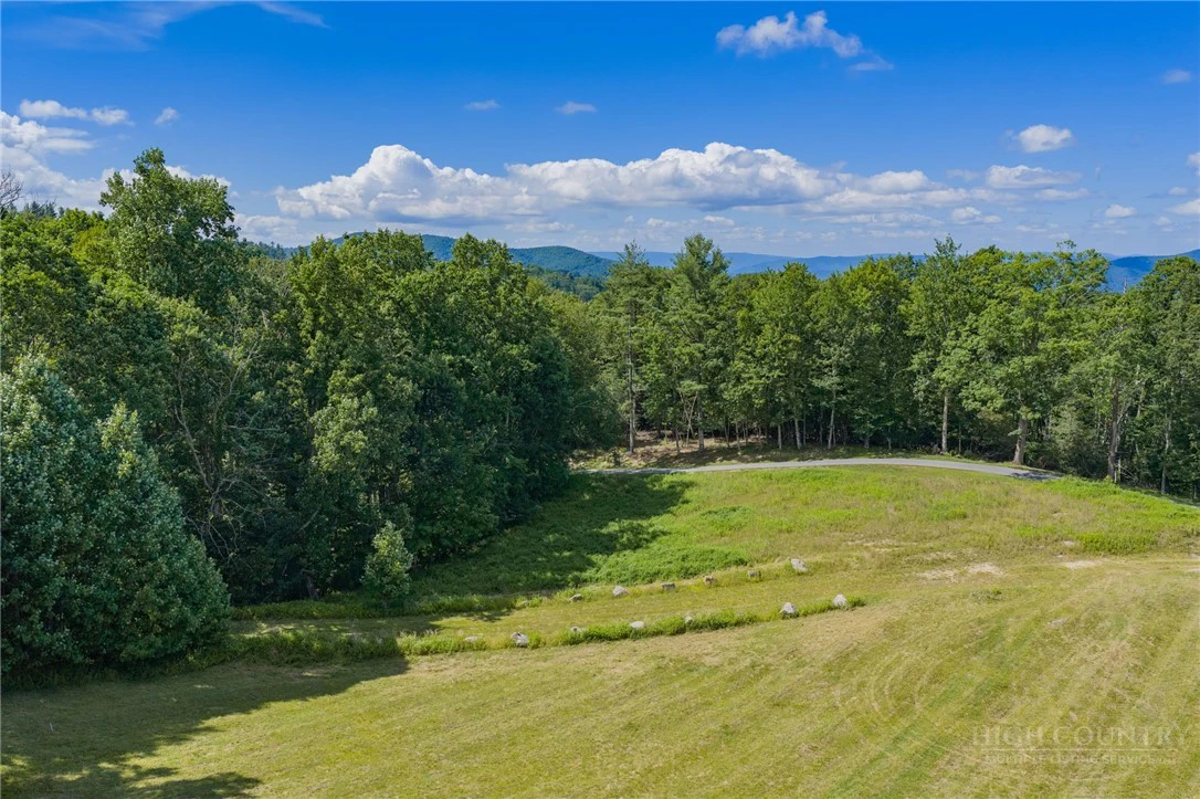 Image number 13 for the current listing