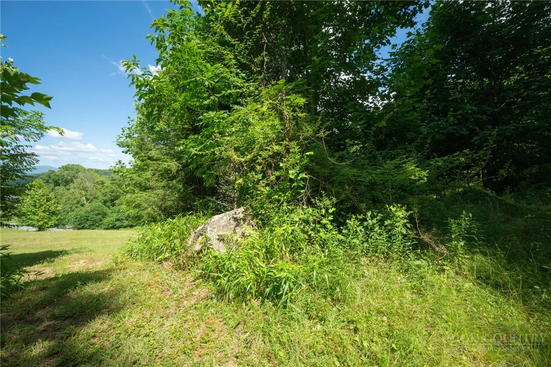 Image number 17 for the current listing