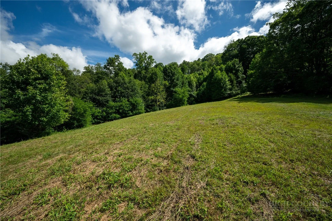 Image number 2 for the current listing