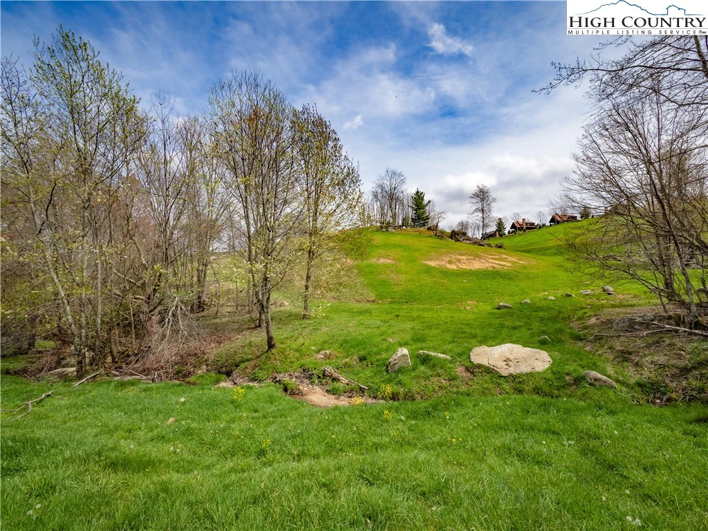 Image number 20 for the current listing