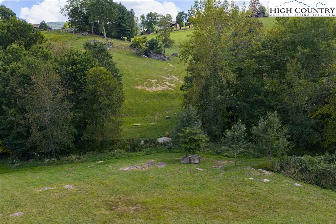 Image number 12 for the current listing