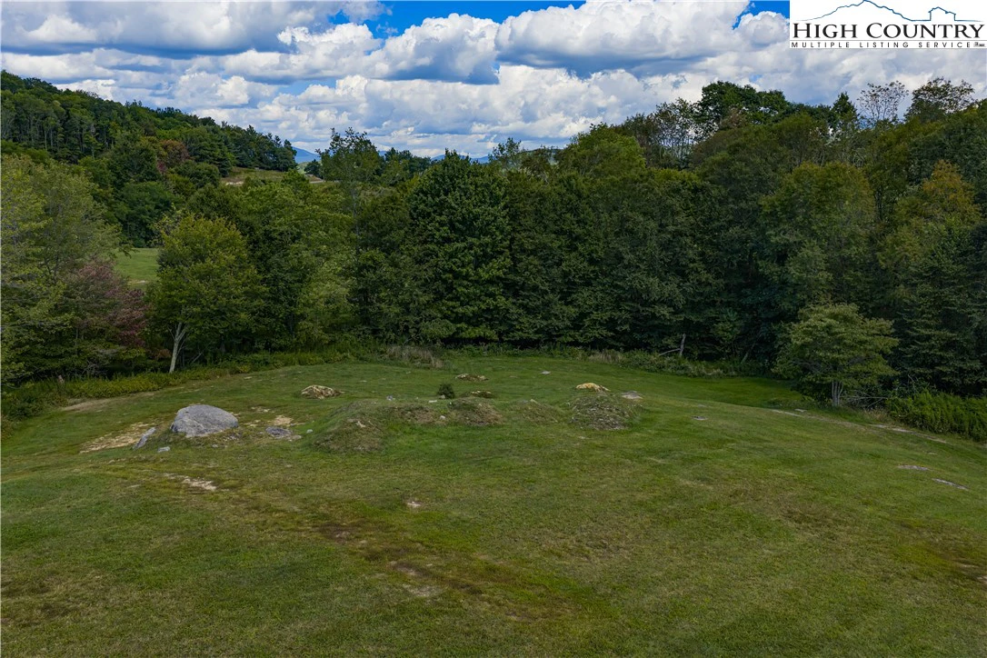 Image number 11 for the current listing