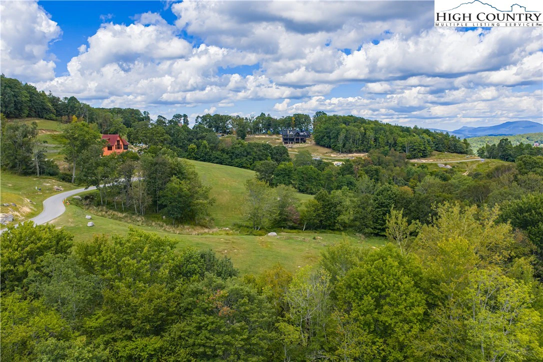 Image number 4 for the current listing