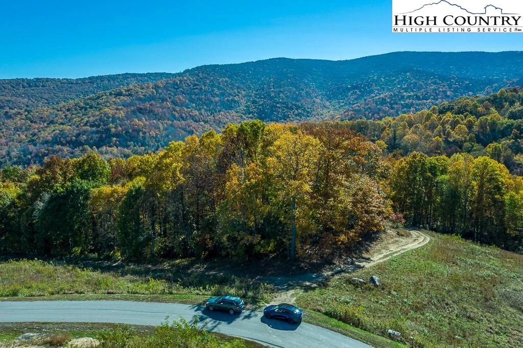 Image number 1 for the current listing