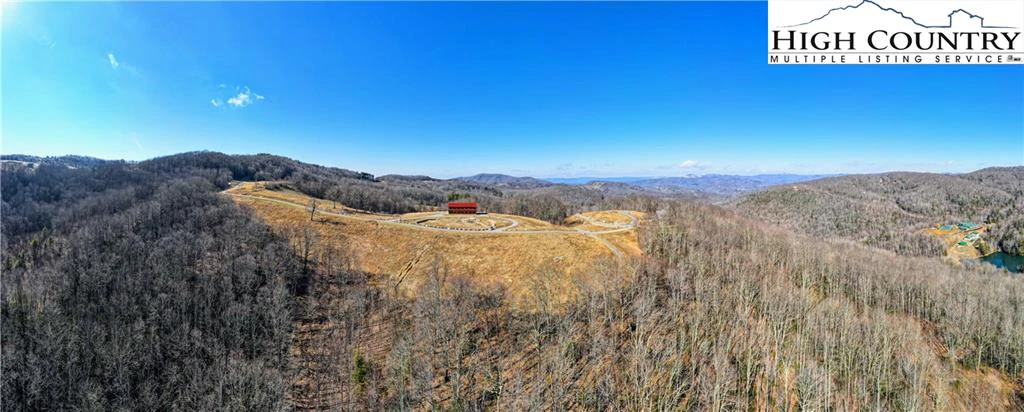 Image number 1 for the current listing