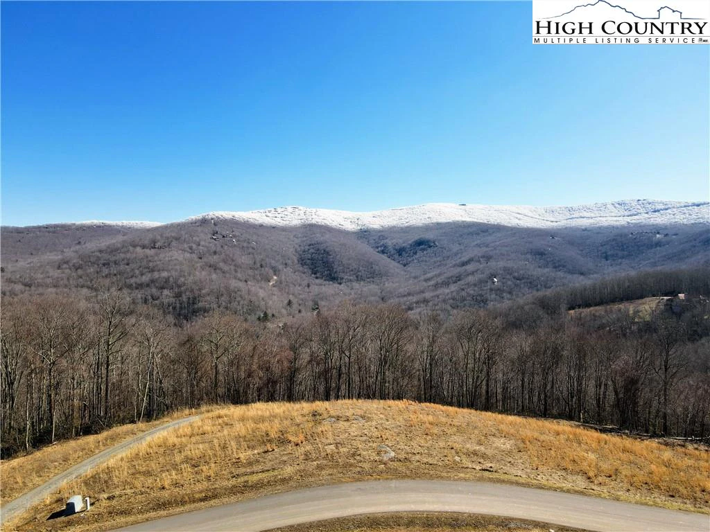 Image number 3 for the current listing