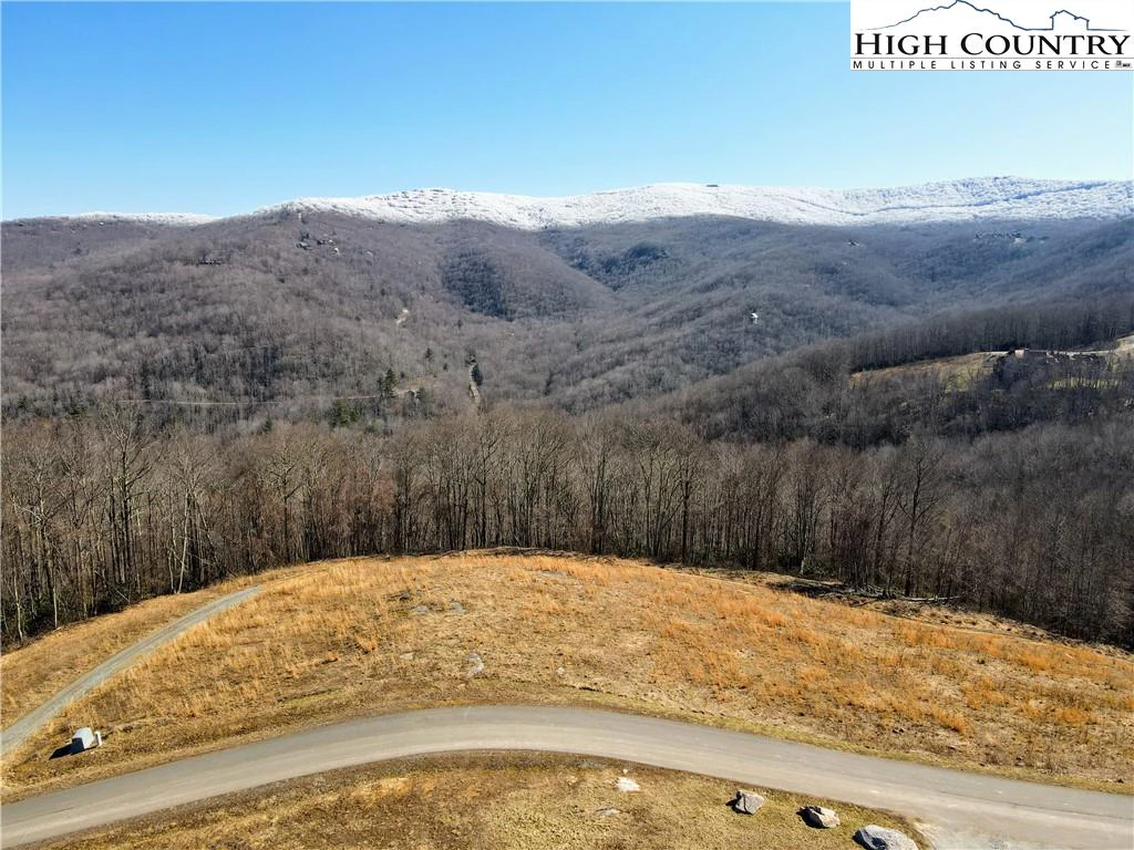 Image number 4 for the current listing
