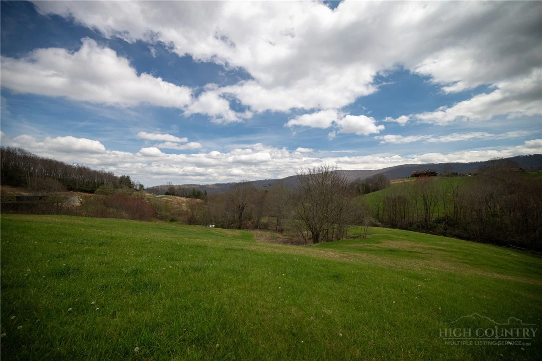 Image number 1 for the current listing