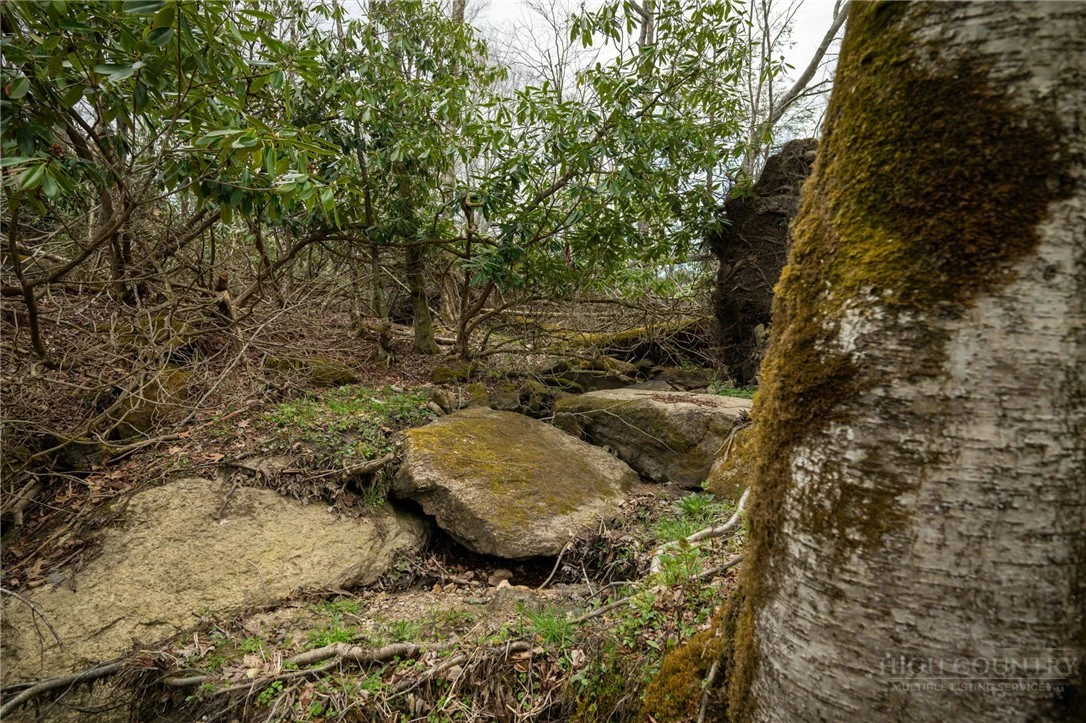 Image number 2 for the current listing