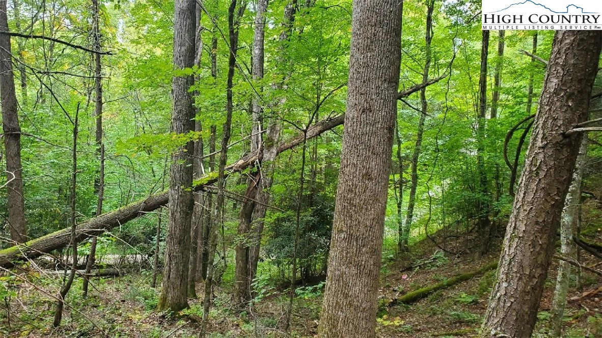 Image number 4 for the current listing