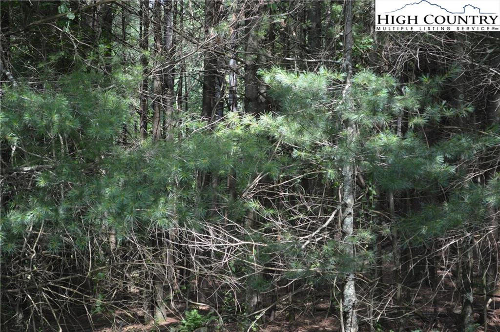 Image number 8 for the current listing