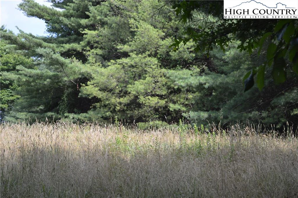 Image number 7 for the current listing