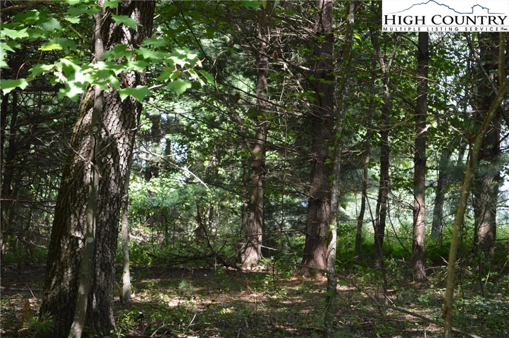 Image number 5 for the current listing